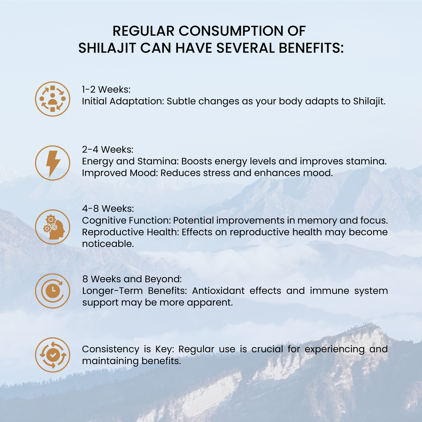 Pure Himalayan Shilajit Resin