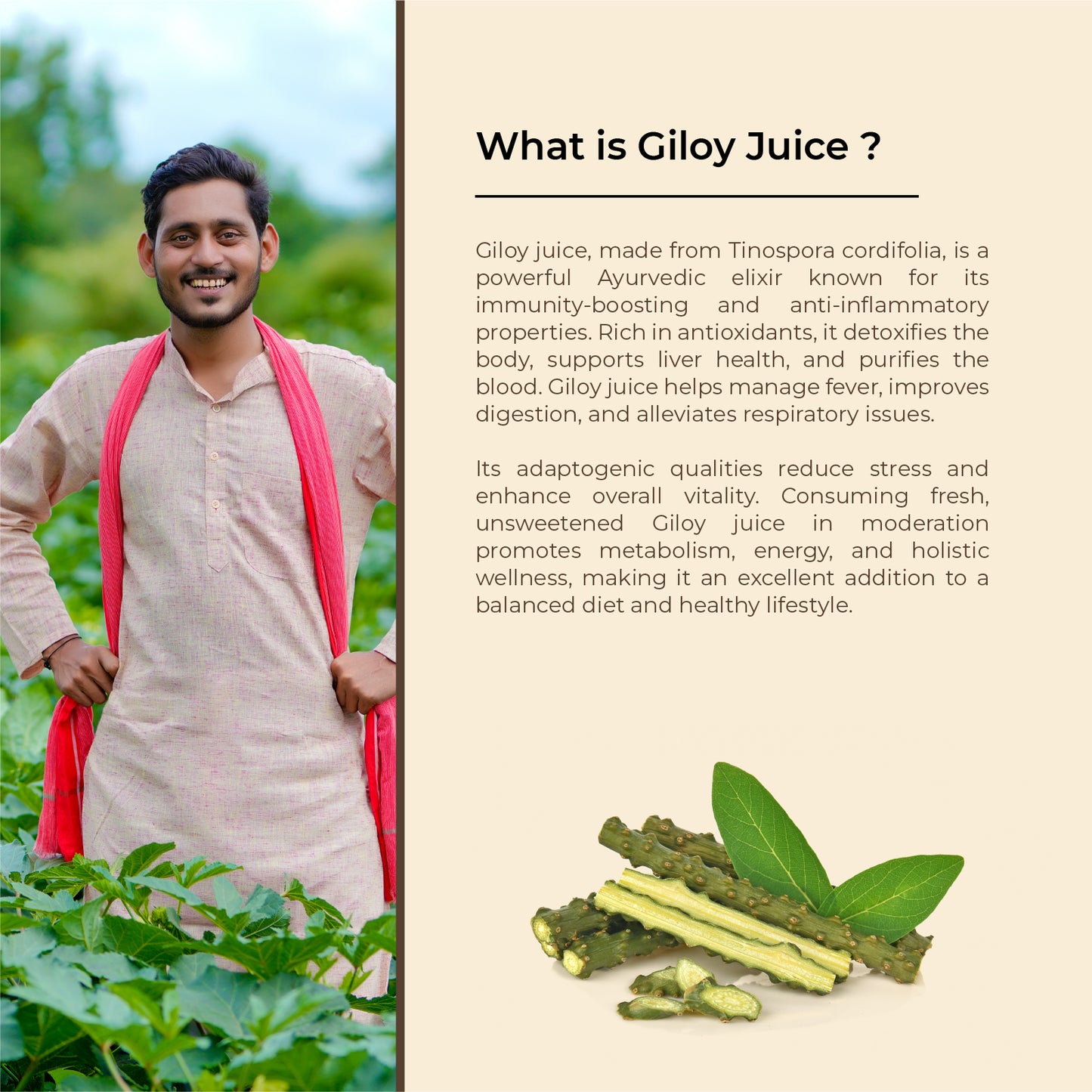 Giloy Juice