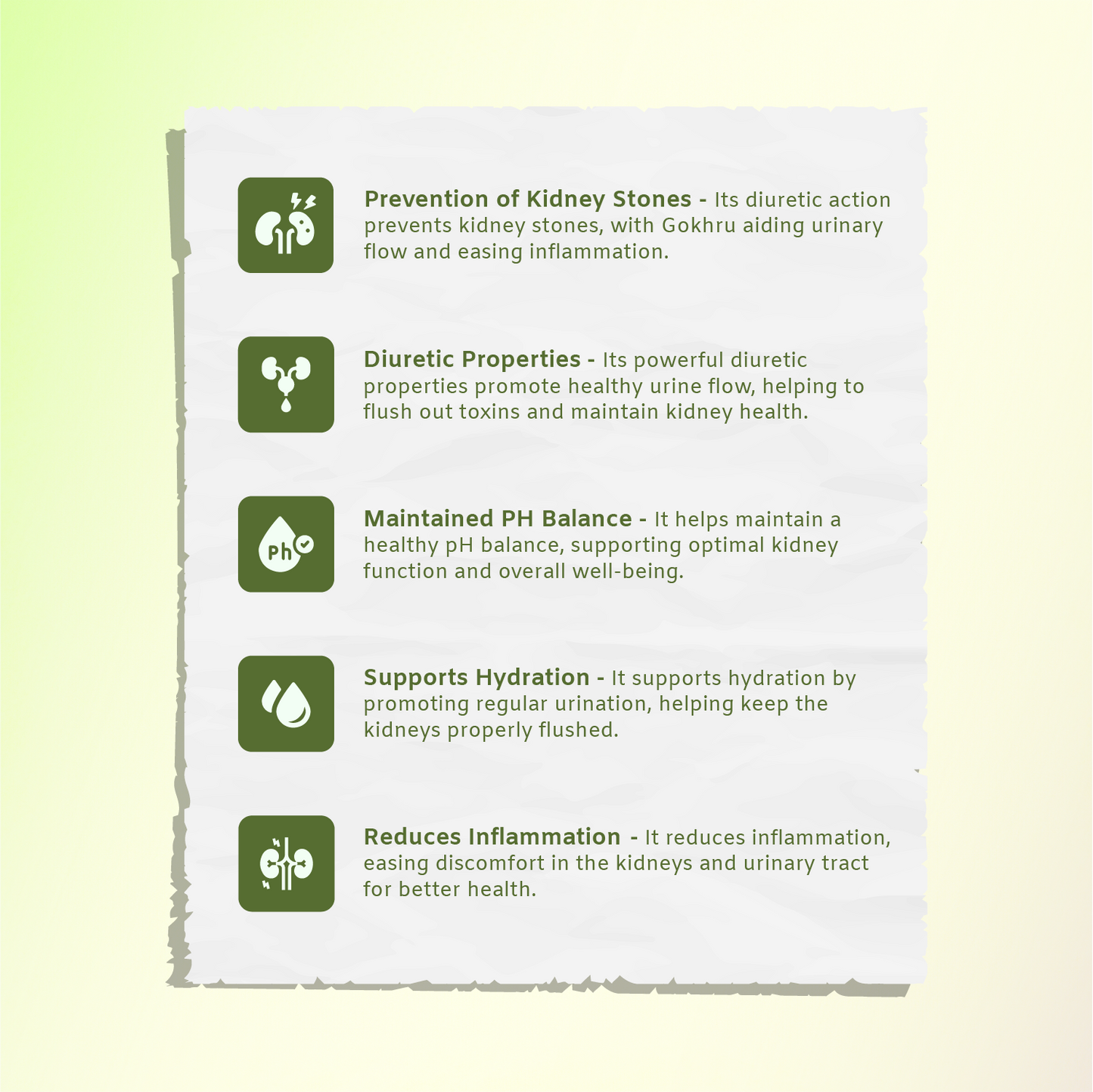 Kidney Care Pravahi Kwath