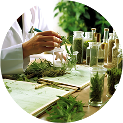 Ayurveda + Science, made Practical