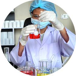 Expert-Guided Formulations