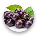 Jamun