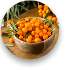 Seabuckthorn