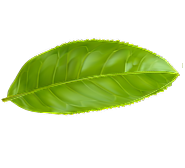 Background Image 2