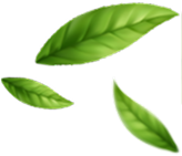 Background Image 1